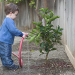 Are Children at High Risk of Abuse in Foster Care Are Children at High Risk of Abuse in Foster Care